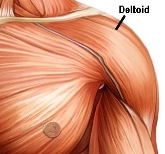 12 CE Hour Trigger Point Therapy & Myofascial Release (Computer-Based Live Interactive Webinar)