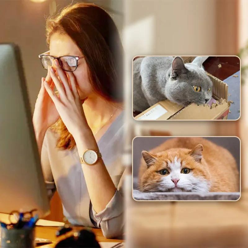 2025 HOT SALE Interactive Cat Bouncy Ball with Feather