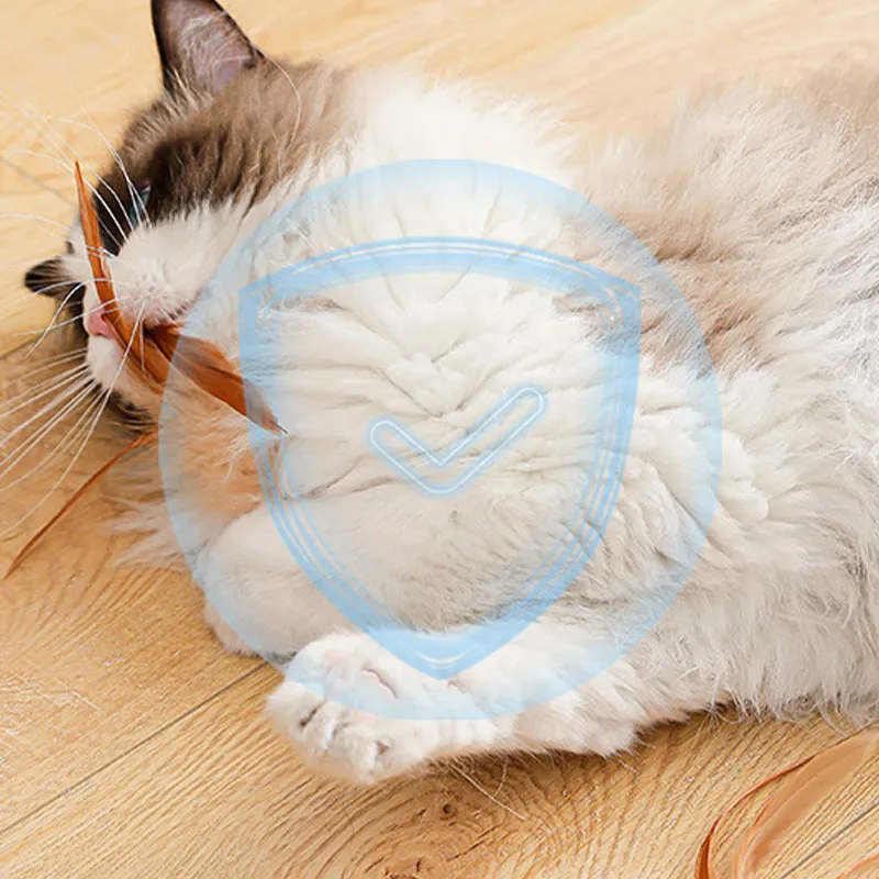 2025 HOT SALE Interactive Cat Bouncy Ball with Feather