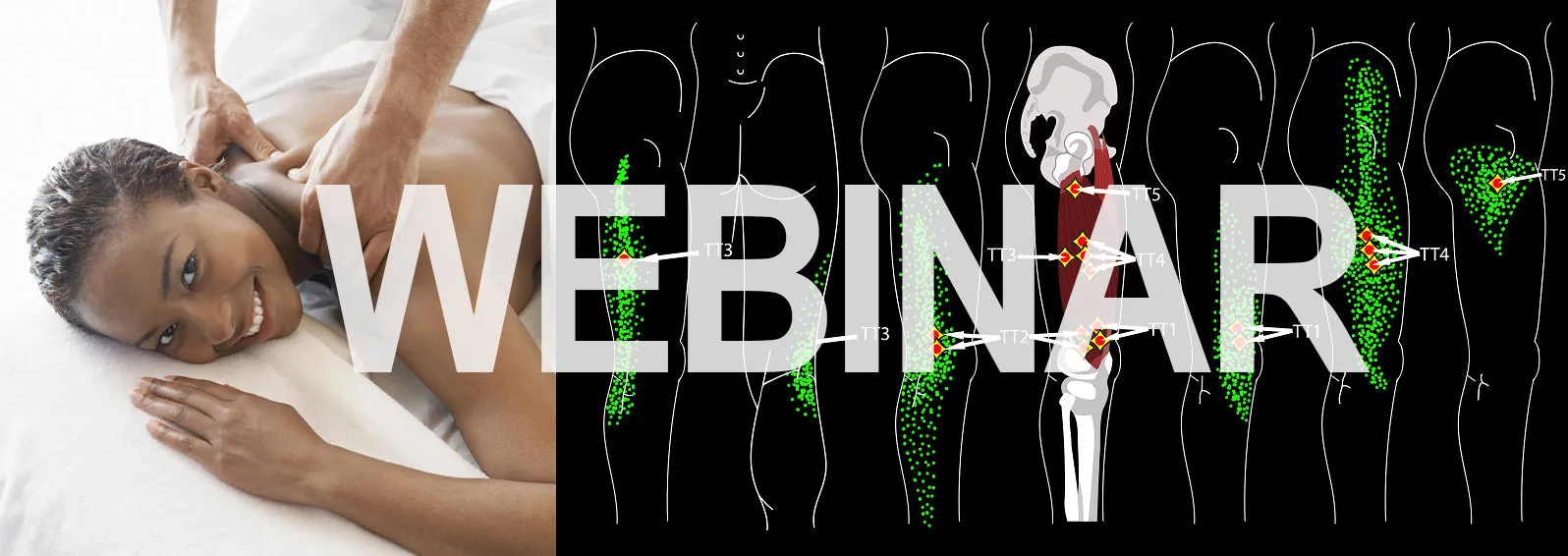 6 CE Hour Trigger Point Therapy (Computer-Based Live Interactive Webinar)