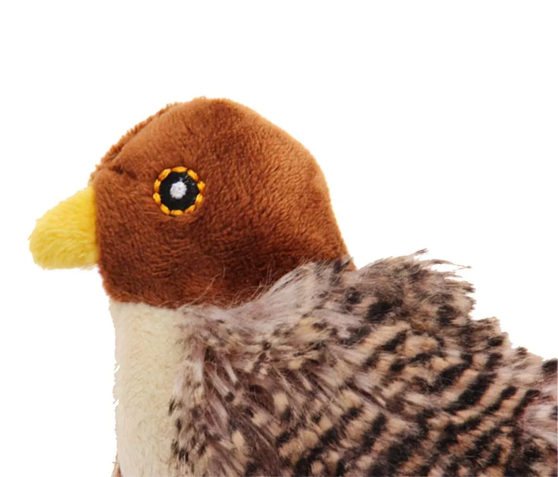 GiGwi Melody Chaser Cat Toy - Bird