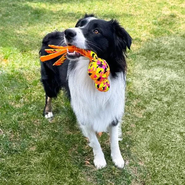 KONG Wubba Ballistic High-Vis Dog Toy