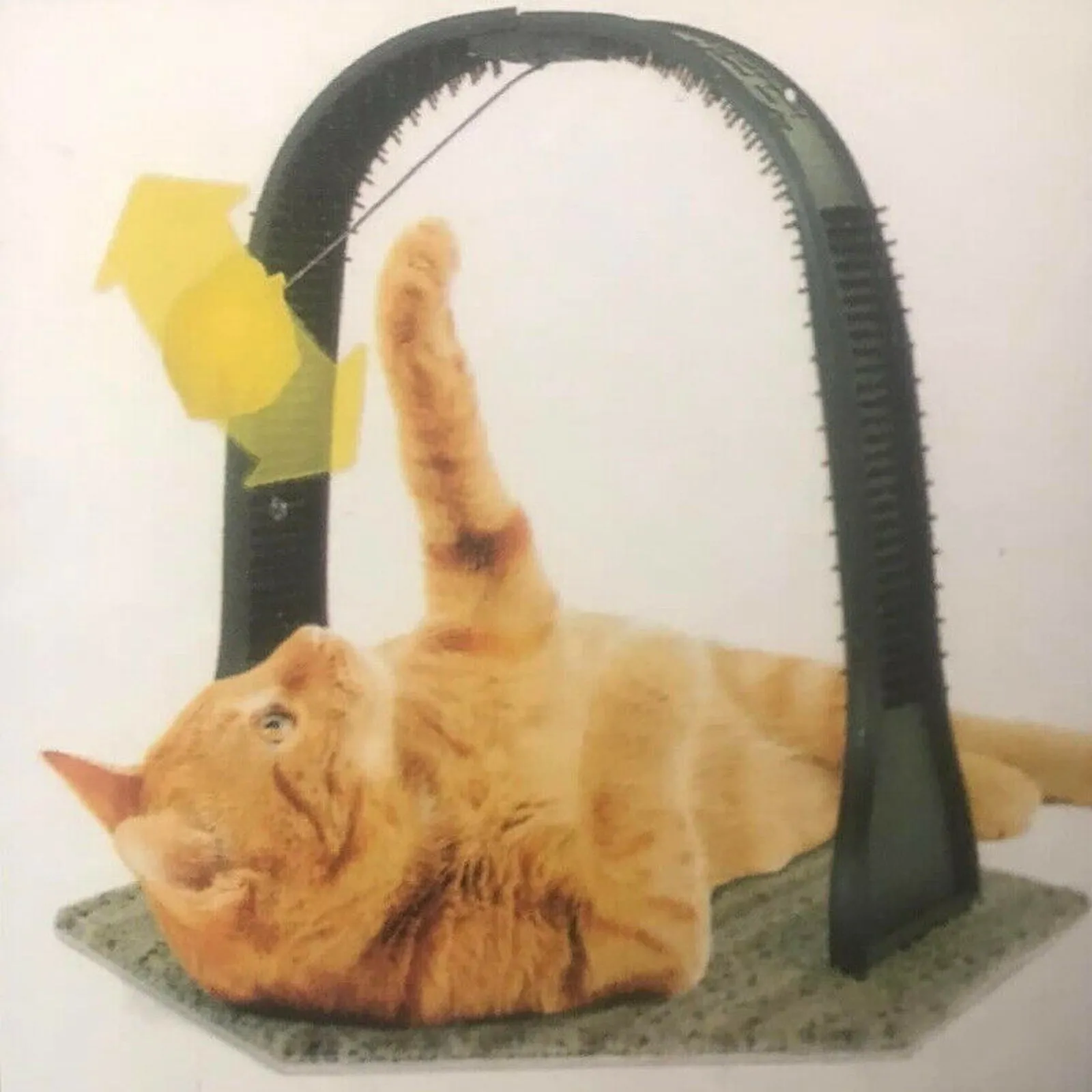 Playful Pets Kitticat Arch Groomer